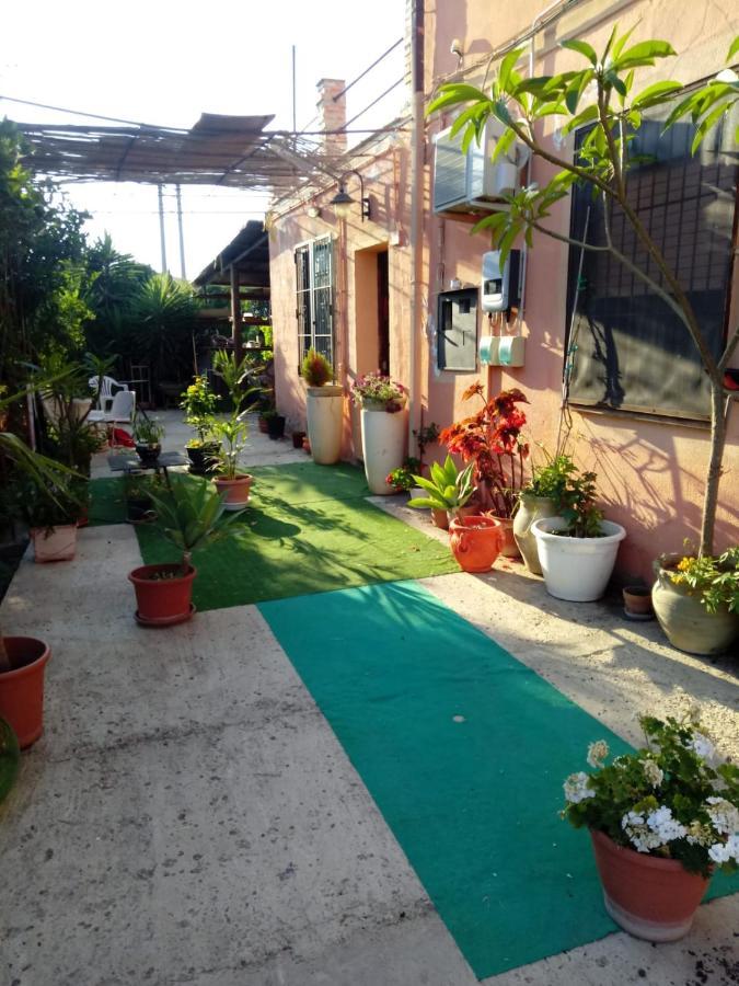 B B Casa Vacanze Il Pino Di Pino Lascari Exteriér fotografie