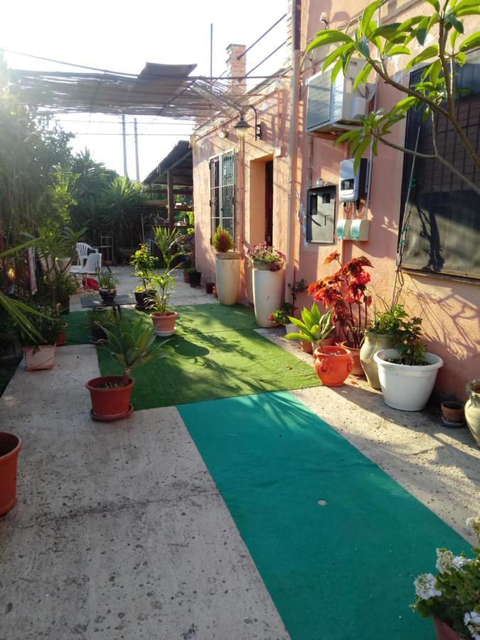 B B Casa Vacanze Il Pino Di Pino Lascari Exteriér fotografie